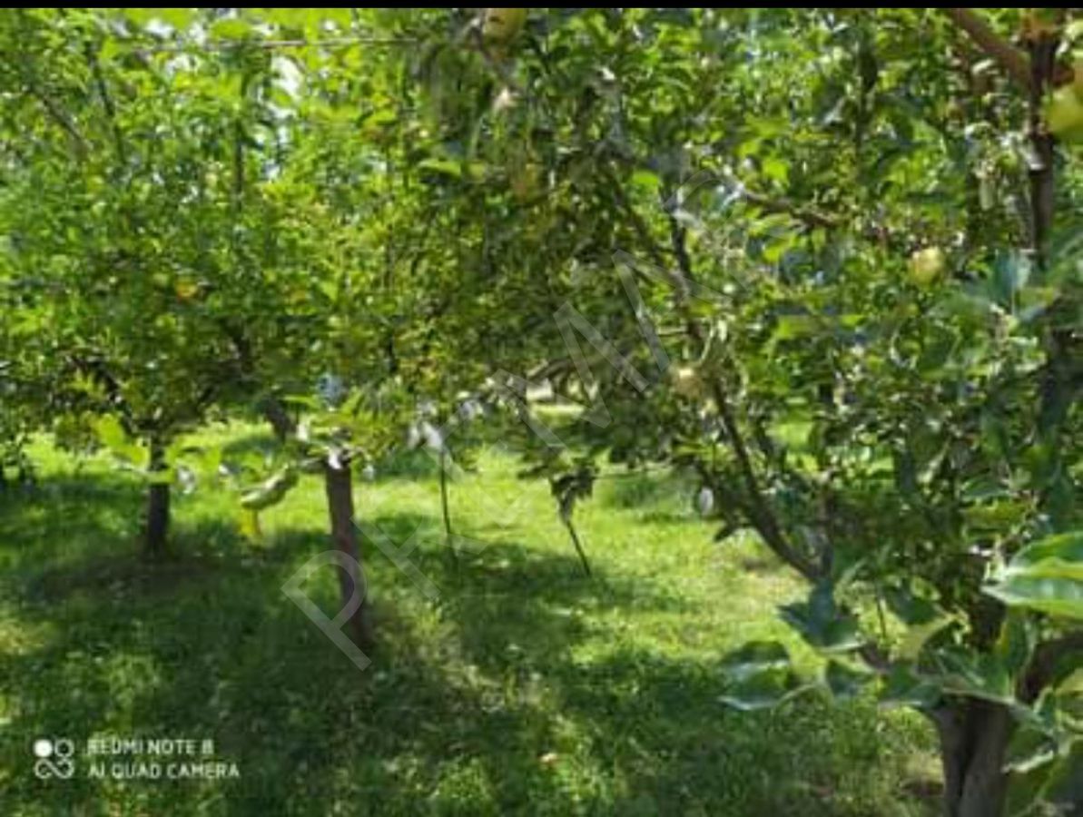 Edremit'te Meyva Bahçeli Satılık Müstakil Ev